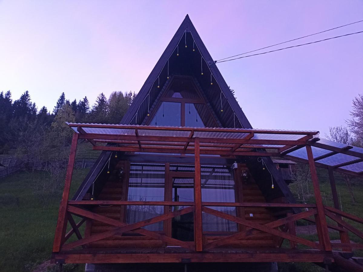 Sadyba Lileya Verkhovyna Esterno foto