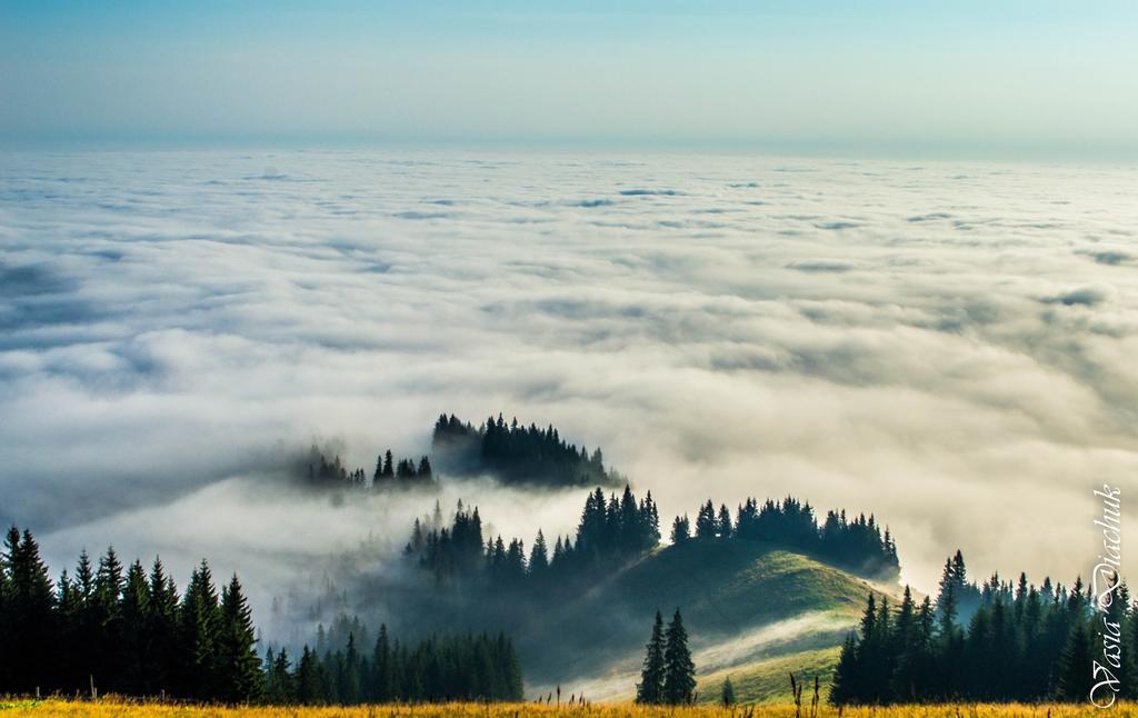 Sadyba Lileya Verkhovyna Esterno foto