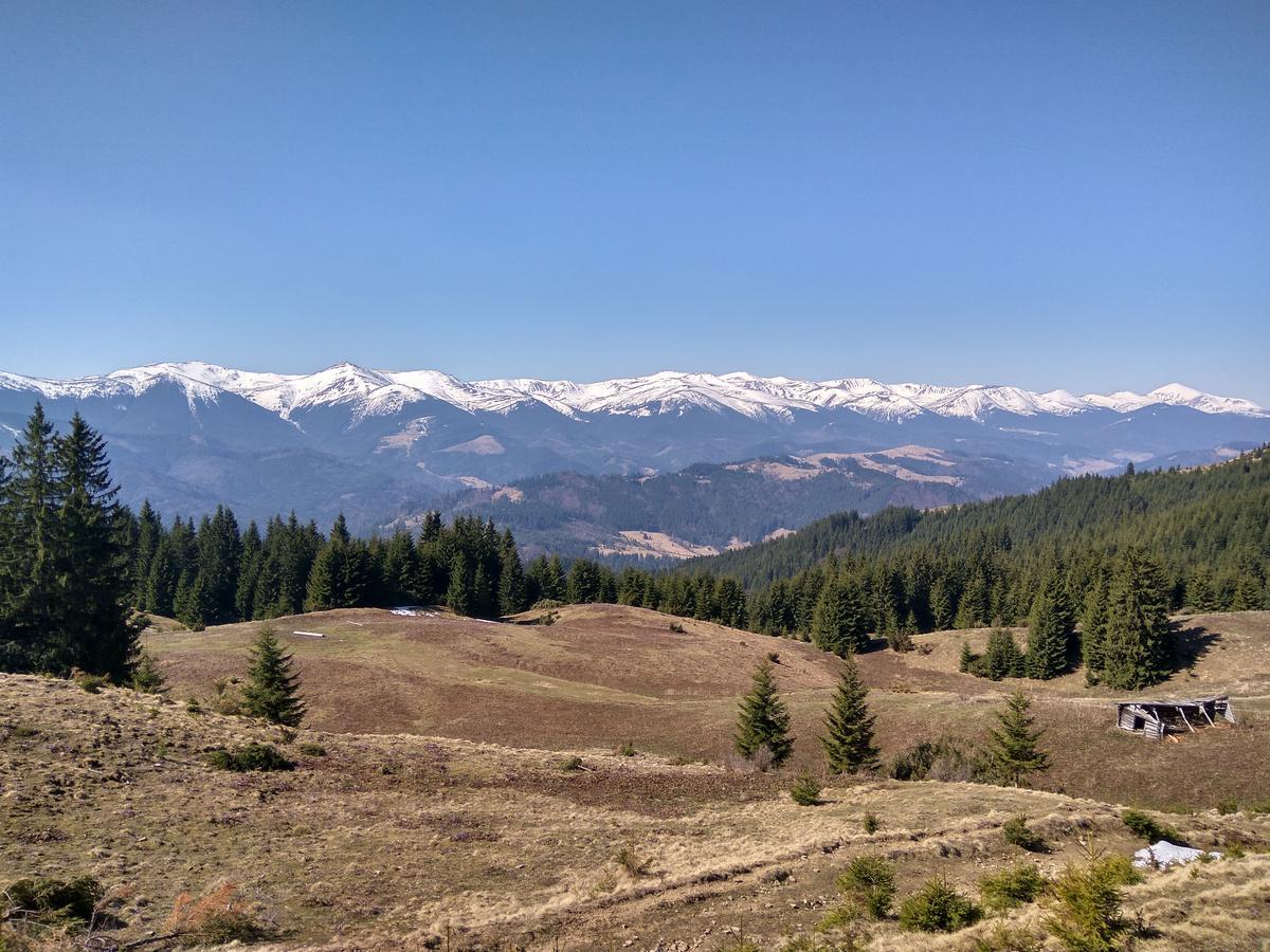 Sadyba Lileya Verkhovyna Esterno foto